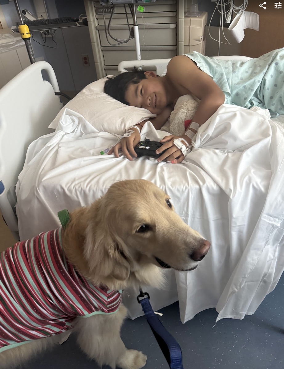 Ryle with therapy dog during recovery