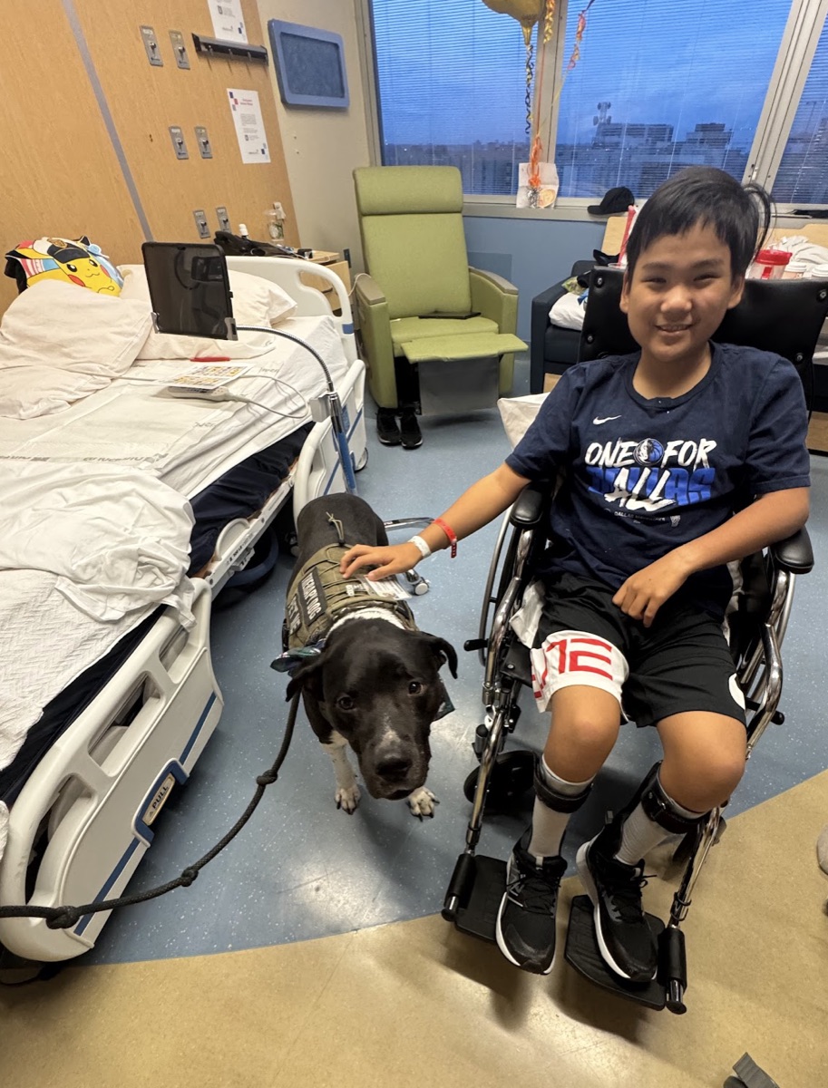 Therapy dog visit